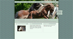 Desktop Screenshot of colouredheavies.com